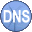 Simple DNS Plus icon